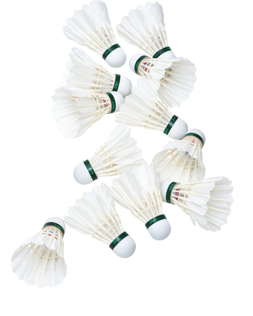 Набор перьевых воланов для бадминтона DHS TR-412 (12 штук)