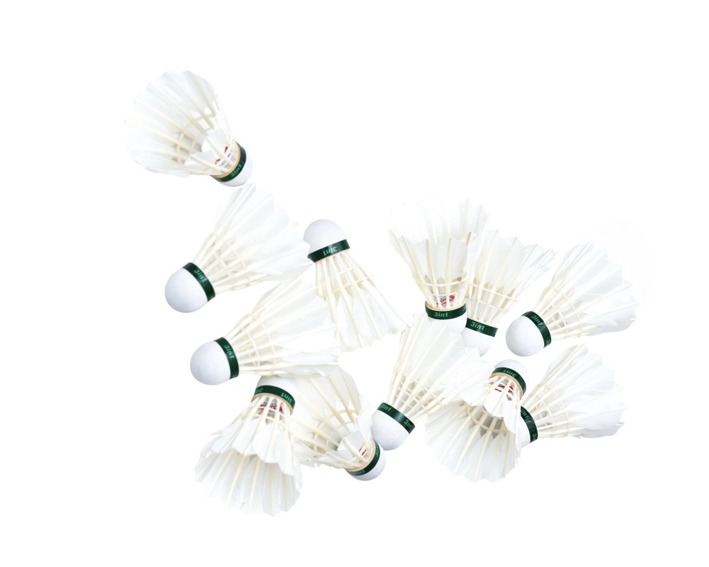 Набор перьевых воланов для бадминтона DHS TR-412 (12 штук)