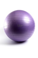 Мяч гимнастический фитбол Gym Ball 55 см