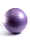 Фитбол Gym Ball 55 см (цвет фиолетовый)