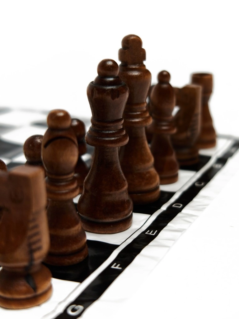 Набор шахматных фигур с мягкой доской  (дерево) CHESS