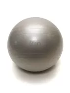 Фитбол Gym Ball 55 см (цвет серый)