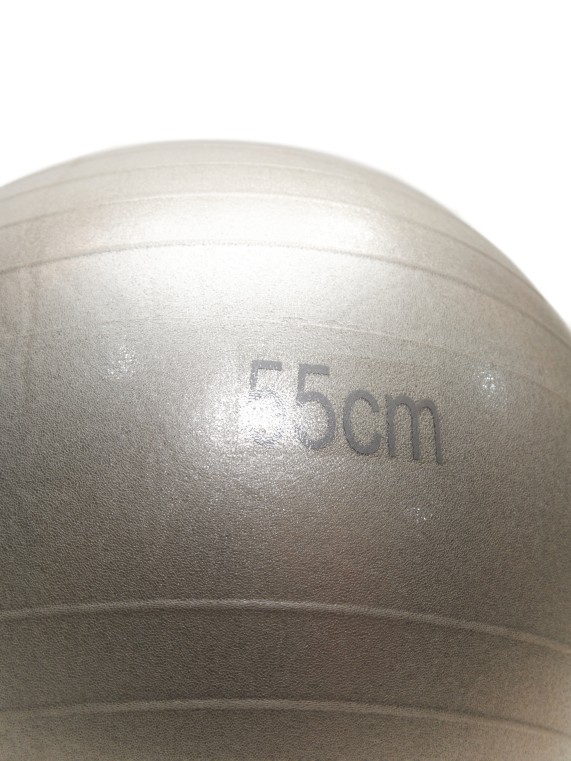 Фитбол Gym Ball 55 см (цвет серый)