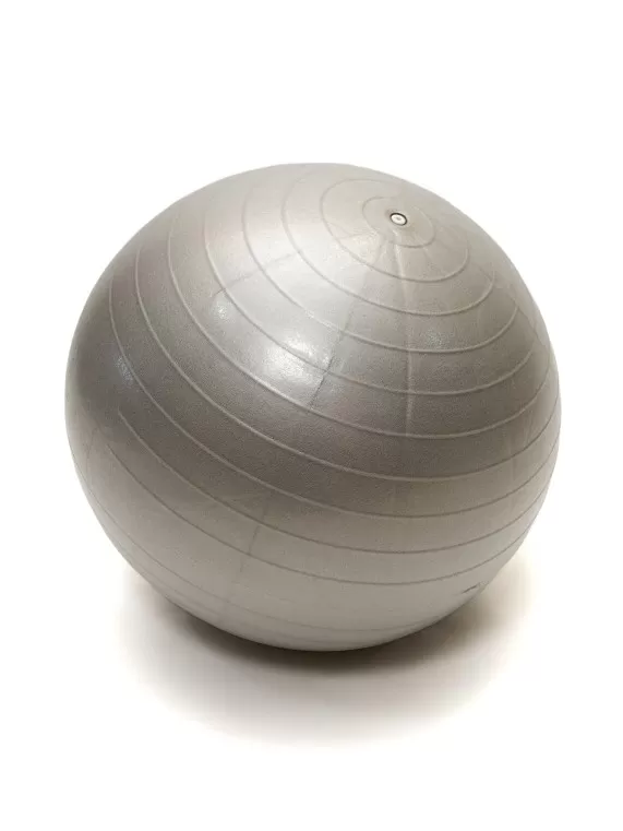 Фитбол Gym Ball 55 см (цвет серый)