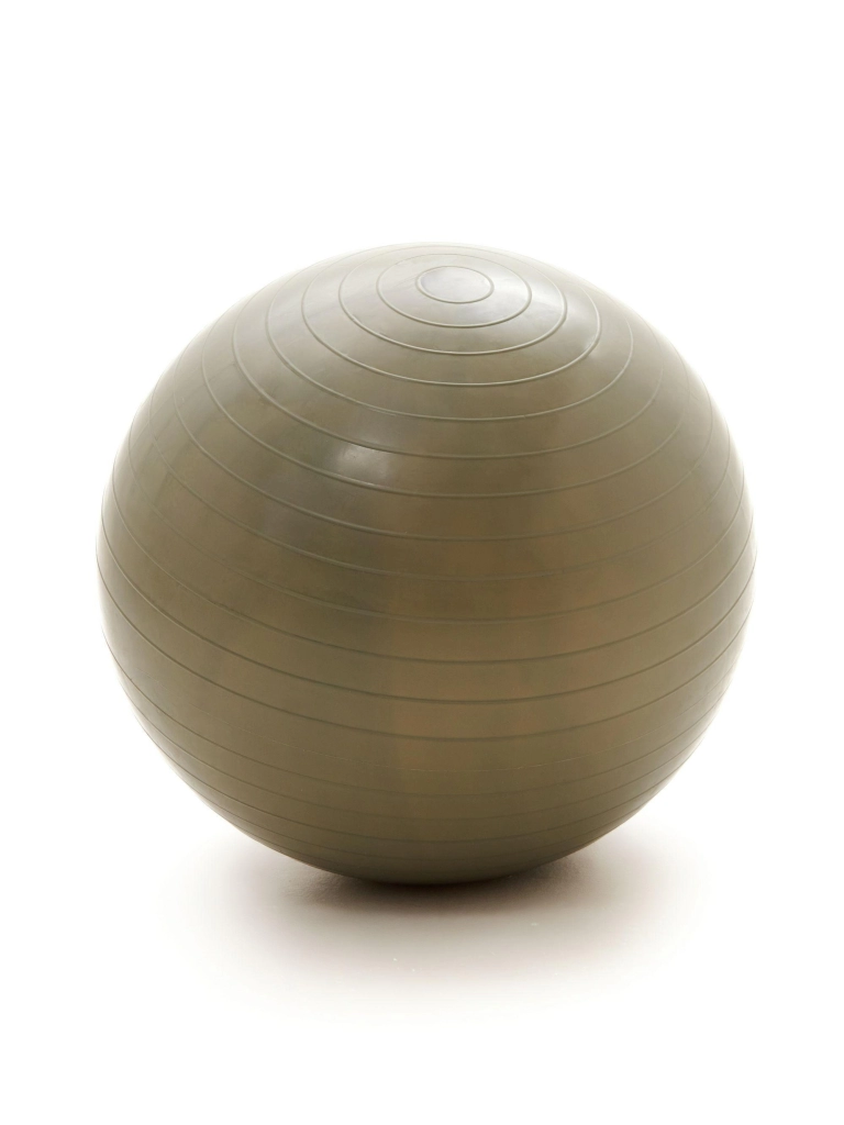 Фитбол BODY ICON 65 см (Deep Lichen Green)